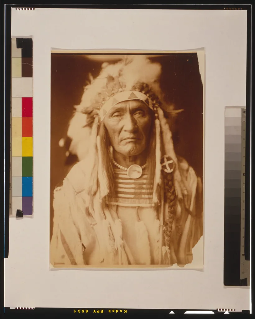 Young Hairy Wolf--Apsaroke, 1905