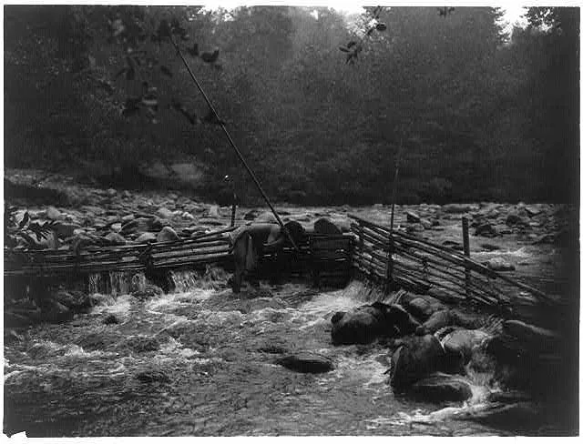 Hupa trout trap, 1923