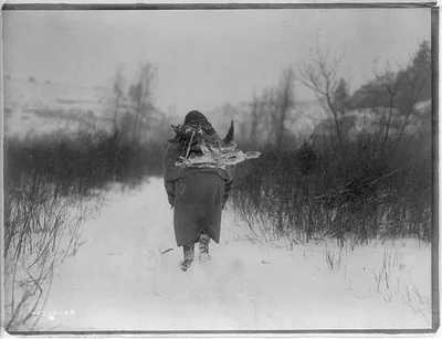 Going to camp, Pryor Mountains, Wyoming, Montana, 1908