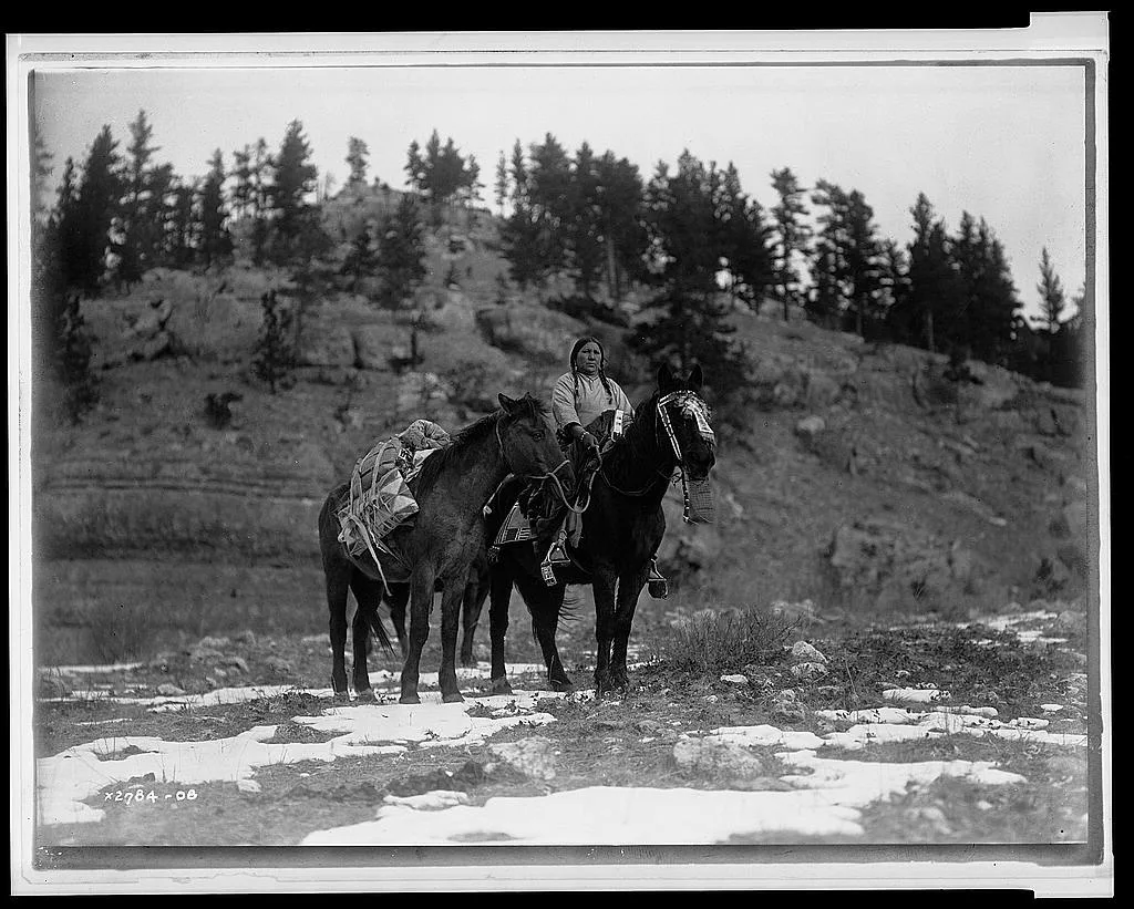 Pack horse [i.e., packhorse]--Apsaroke, Montana, 1908