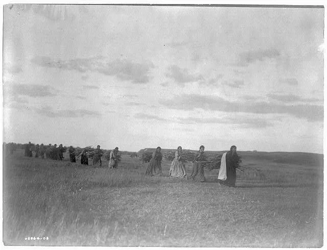 The brush-gatherers--Arikara, North Dakota, 1908