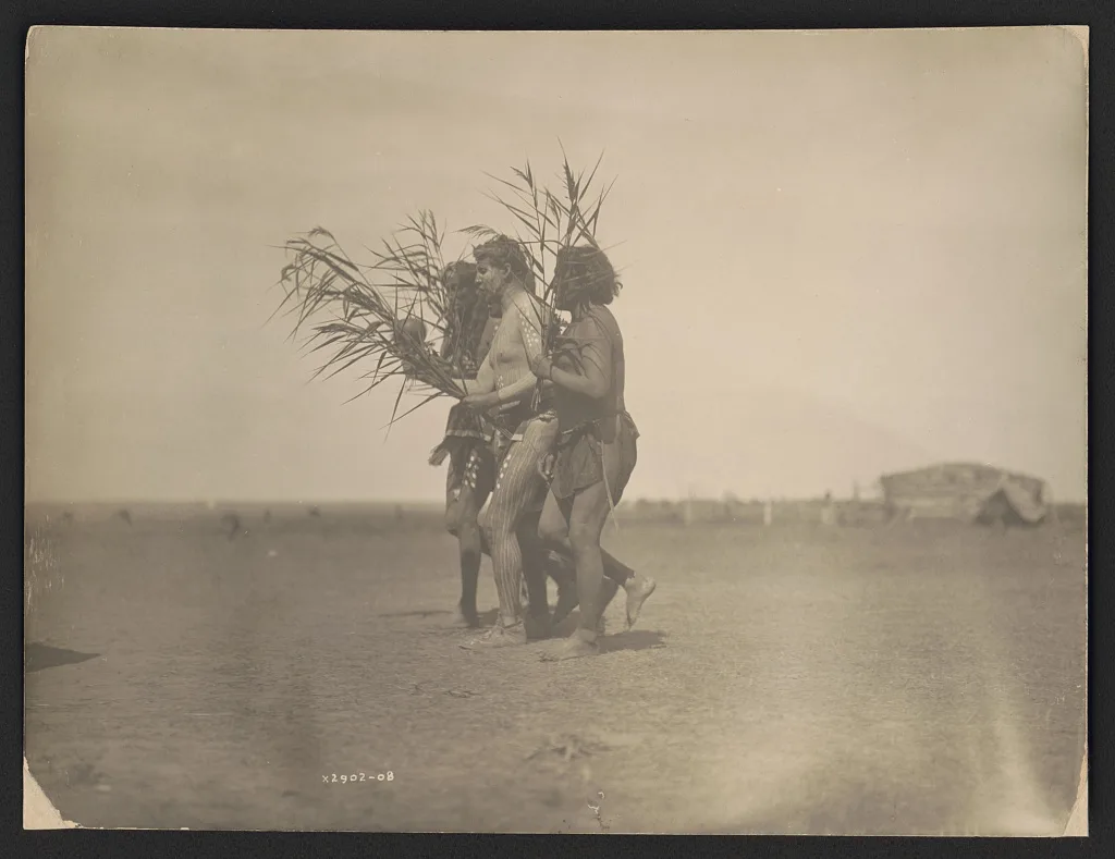 Arikara Medicine Ceremony--The Ducks, North Dakota, 1908