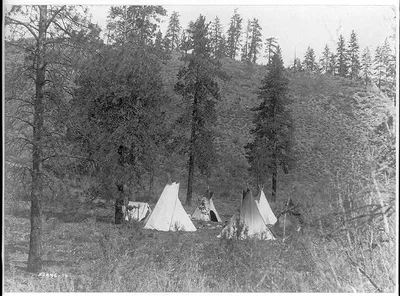 A hill camp, Washington, 1910