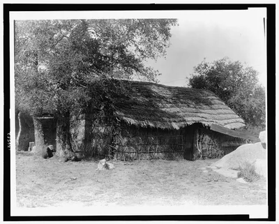Photograph from 1924: A Diegueño home