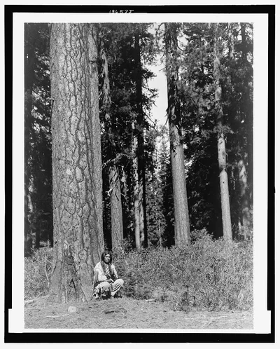 In the forest--Klamath, Oregon, 1923