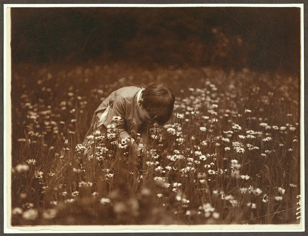 Quentin Roosevelt looking for June bugs, New York, Oyster Bay, 1904