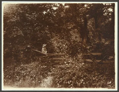 Quentin Roosevelt on the fence, Oyster Bay, New York, 1904