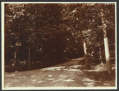A private road, Oyster Bay, New York, Sagamore Hill National Historic Site, 1904