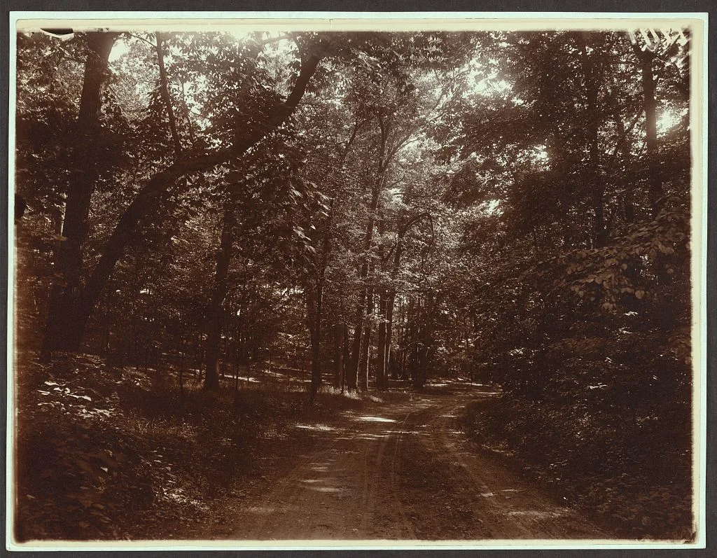 Wooded road thru Sagamore, Oyster Bay, New York, Sagamore Hill National Historic Site, 1904