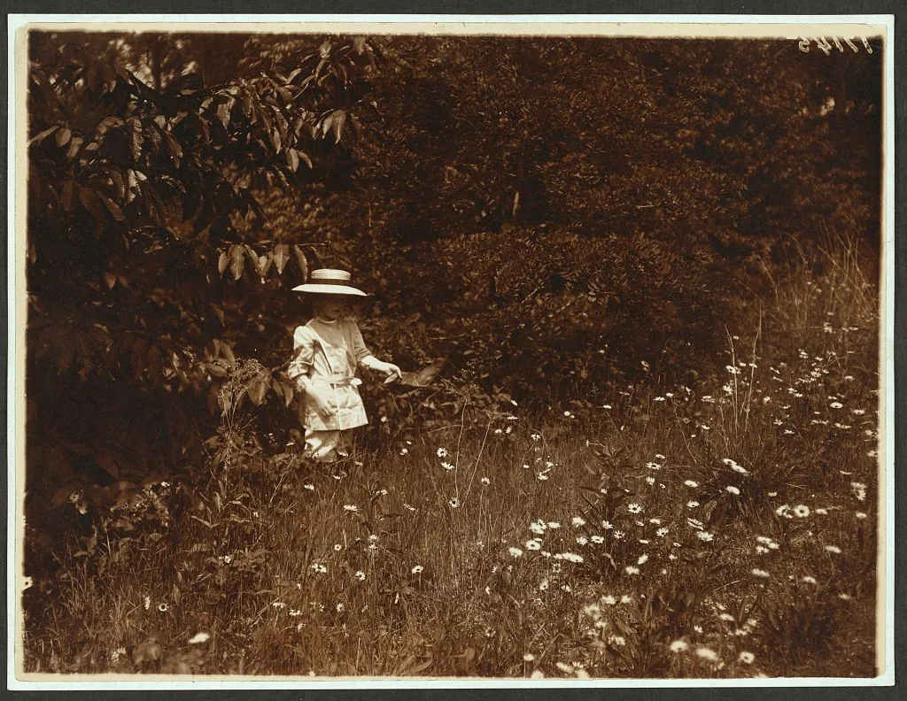 Quentin in Smithfield, Oyster Bay, New York, 1904