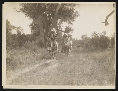 In the valley of the Little Big Horn, 1905