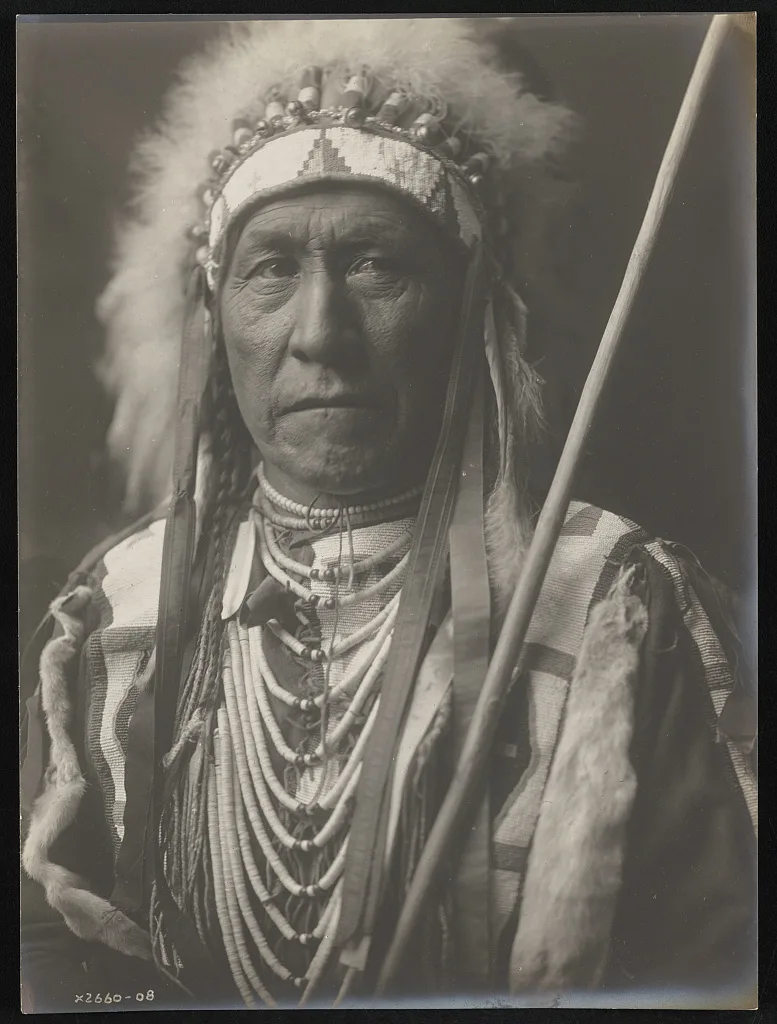 Plain Owl, 1908