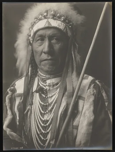 Plain Owl, 1908