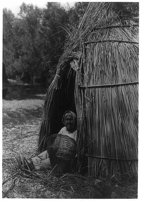 Construction of a tule shelter--lake Pomo, California, 1924