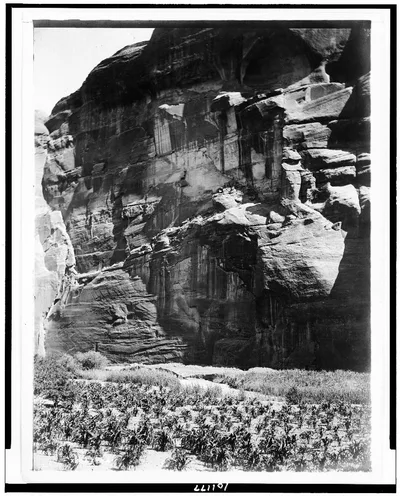 Cornfields of Cañon del Muerto, 1906