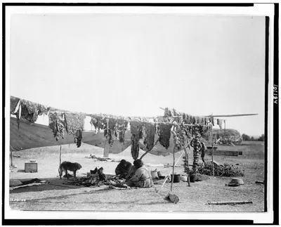 In camp, Great Plains, 1908