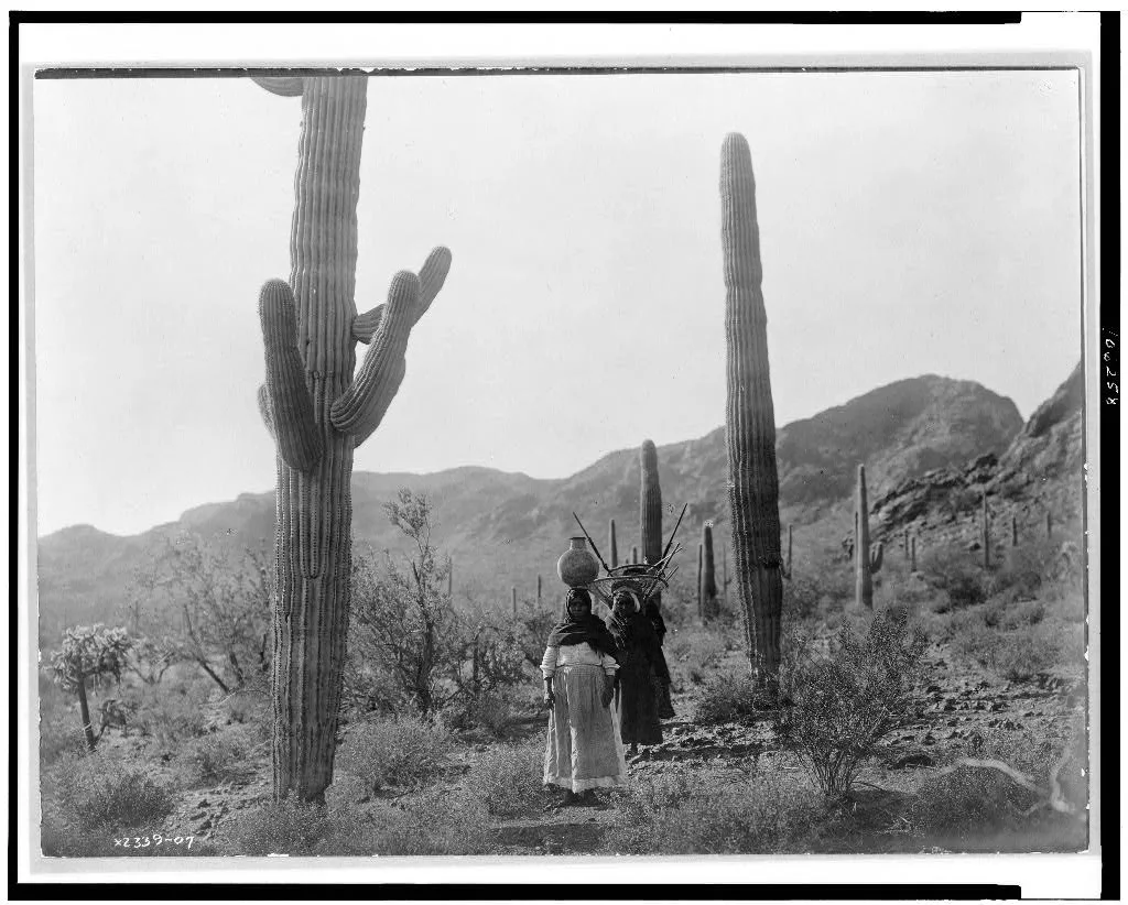 [Hasen harvest [B]--Qahatika.  Three women walking through desert,…, Arizona, 1907