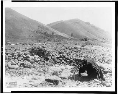 Nez Percé sweat-lodge, 1910