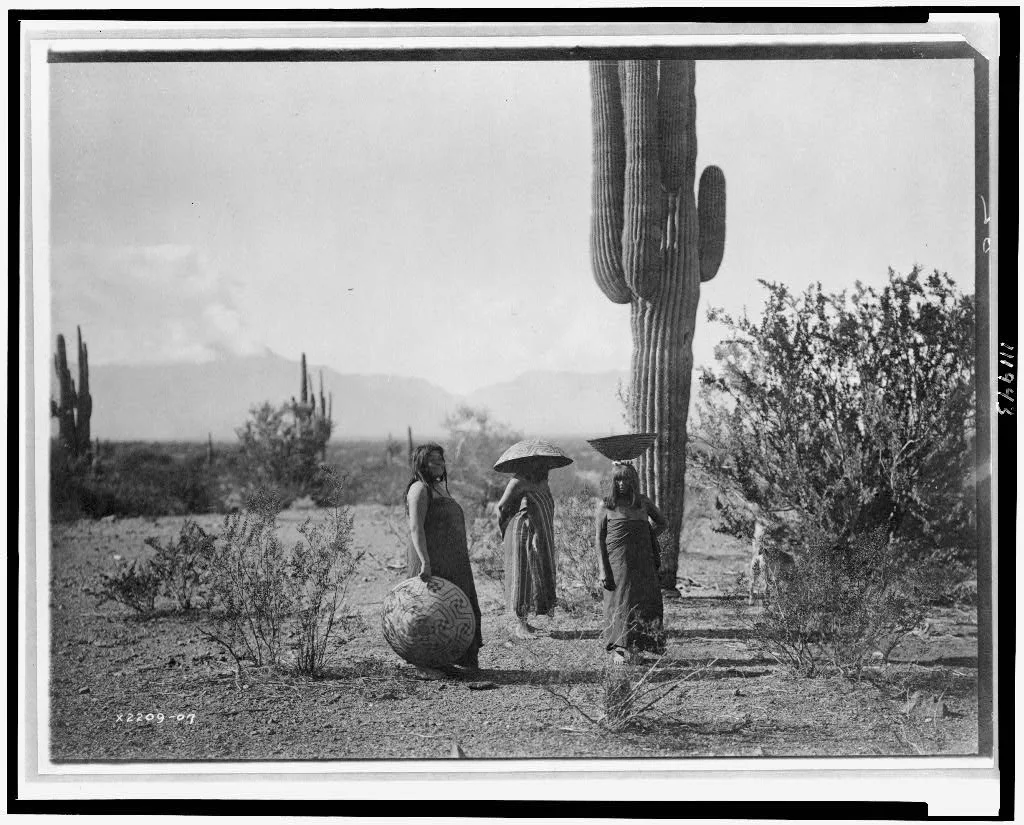 [Saguaro fruit gatherers--Maricopa], Arizona, 1907