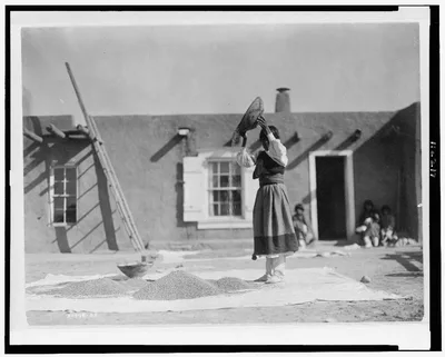 Winnowing wheat, San Juan Pueblo, New Mexico, 1905