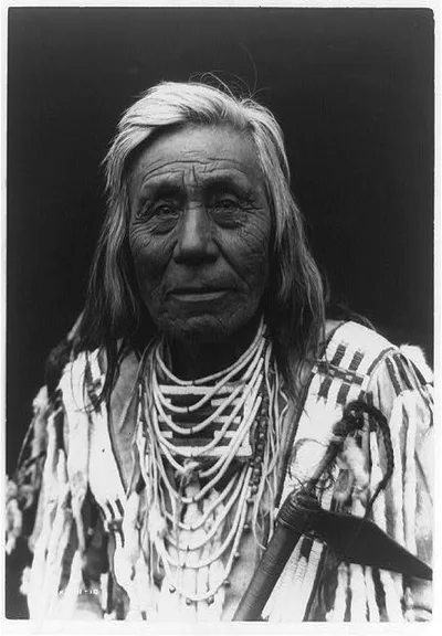 Cayuse type, 1910