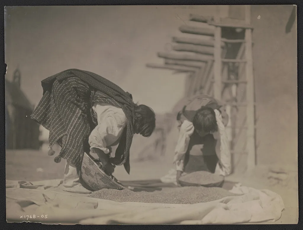Cleaning wheat--San Juan, San Juan Pueblo, New Mexico, 1905